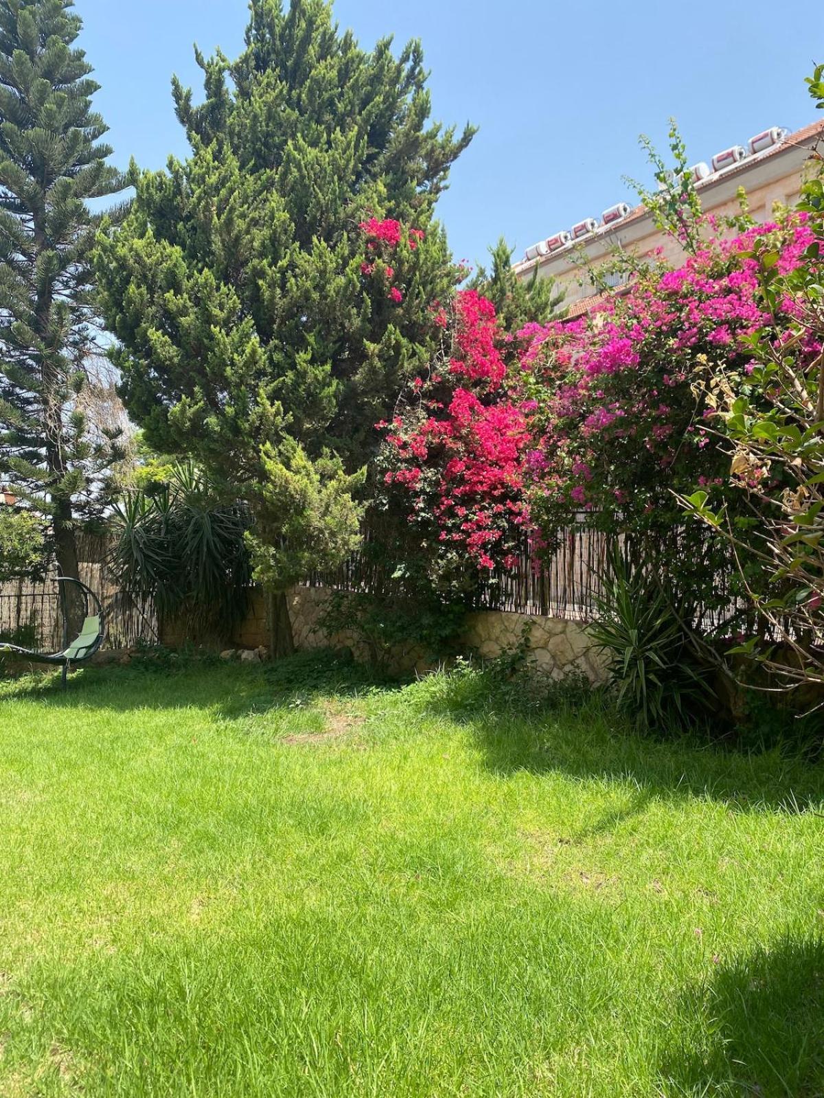Apartmán דירת גן מרווחת במיקום מעולה עם נטפליקס חינמי Ma'ale Adumim Exteriér fotografie